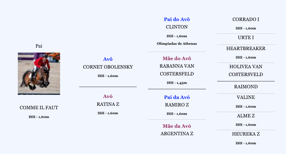 Árvore-Genealógica-Paterna---COMME-CHANP-SH